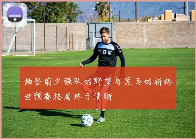 抽签前夕强队的野望与黑马的祈祷世预赛格局终于清晰